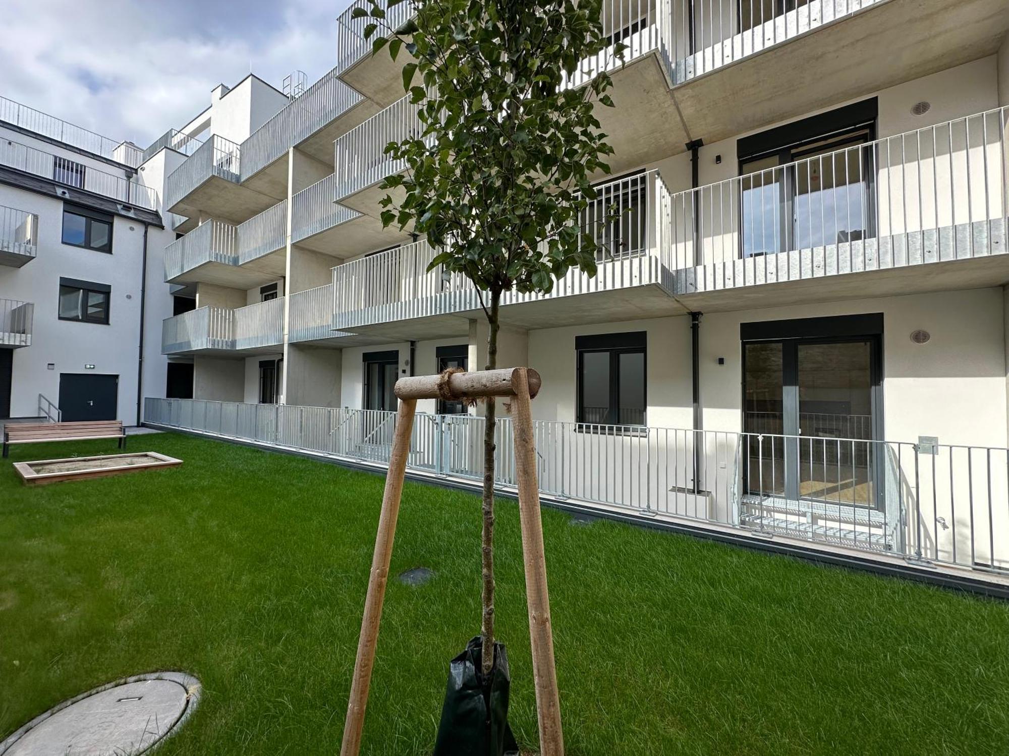 Schoenbrunn Garden Apartments Wina Bagian luar foto